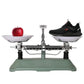 Steel Toe Cap Sneakers